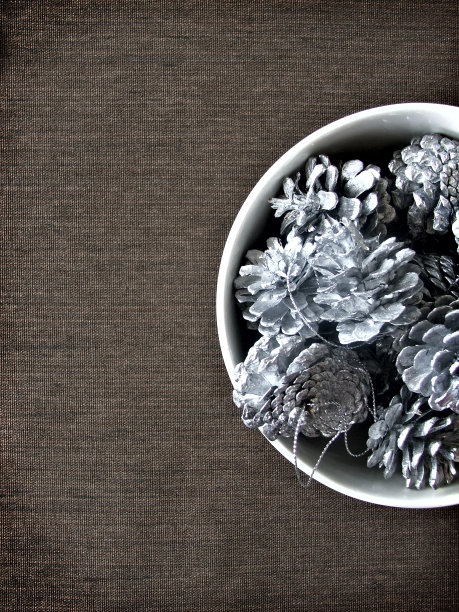 银色的松果在棕色上图片下载