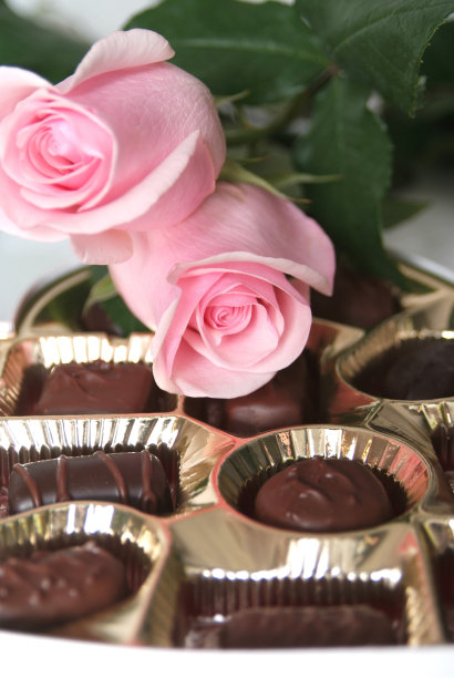 情人节的玫瑰和巧克力图片下载