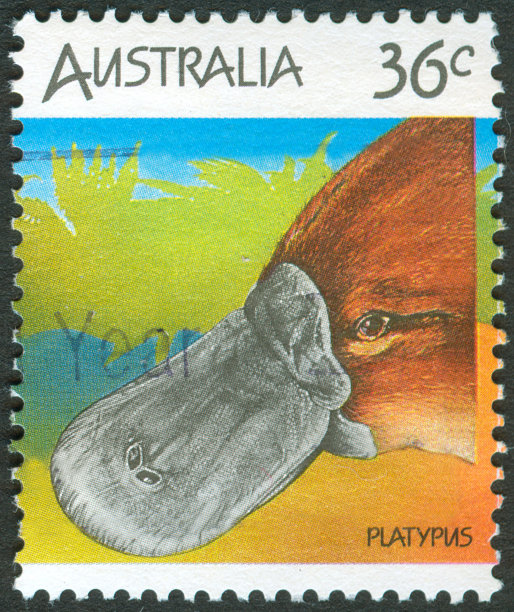 鸭嘴兽邮票图片下载