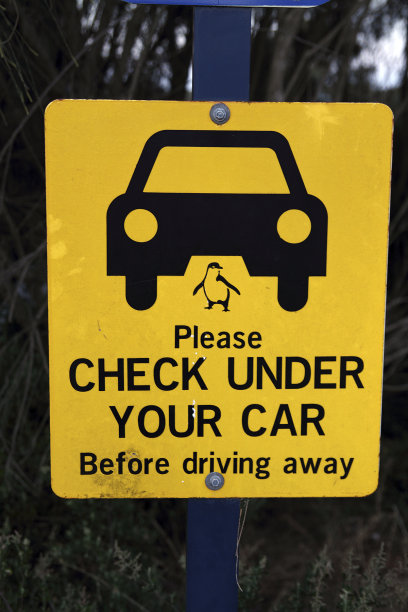 菲力普岛道标志图片下载