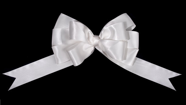 白色缎弓图片下载