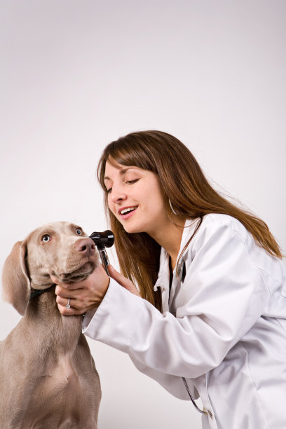 良好的耐心图片下载