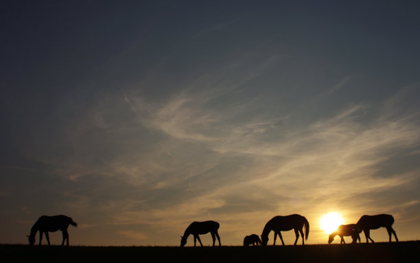乡间的日落景色图片下载