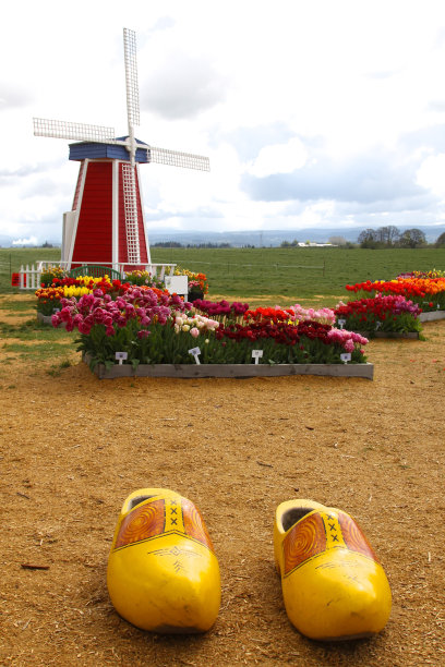 郁金香农场的超大木鞋图片下载