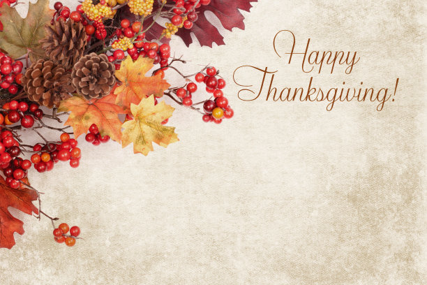 秋花环映衬纹理背景图片下载