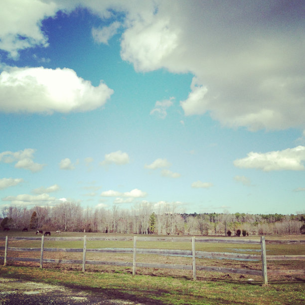 移动家畜:马场与戏剧性的天空图片下载