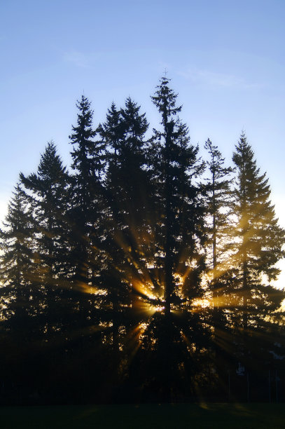 天堂的夷为平地图片下载