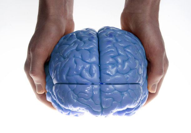 大自然的大脑图片下载