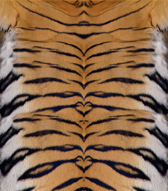 老虎的皮图片下载