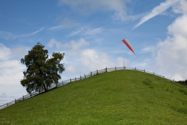 绿油油的篱笆上飘扬着旗子图片下载