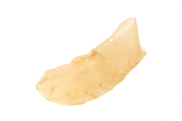 藏狗咬鞋图片下载