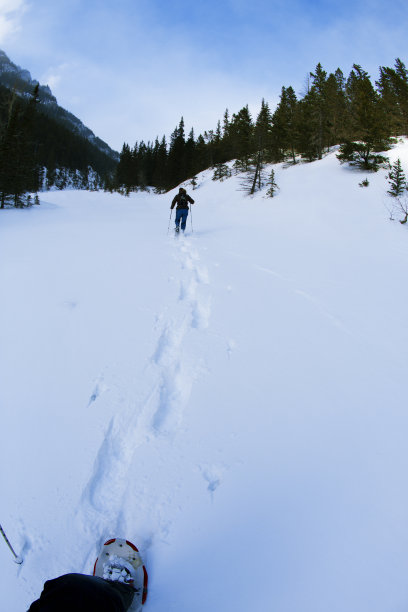 雪鞋冒险图片下载