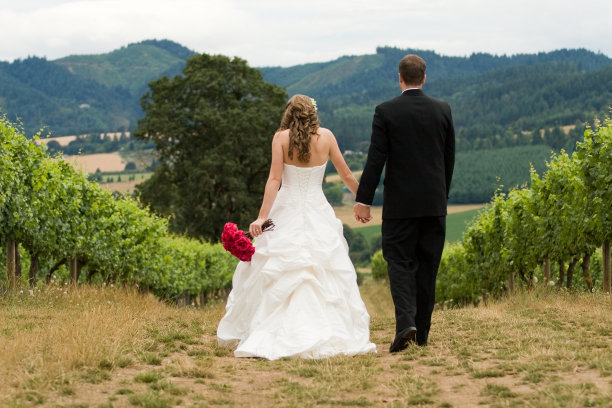 一对新婚夫妇在通往未来的道路上图片下载