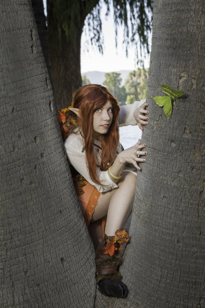 森林里的仙女。图片下载