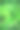 肉质植物银盘。高凉菜属Thyrsiflora图片下载