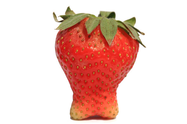 坚硬牙齿的草莓隐喻图片下载