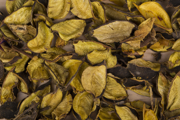 干花瓣背景图片下载
