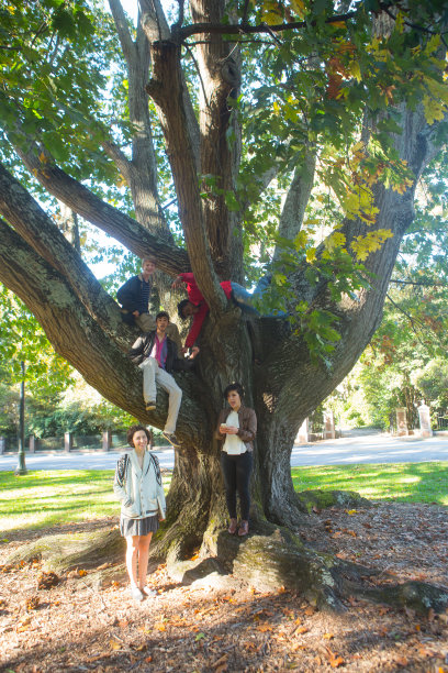 秋天的肖像图片下载
