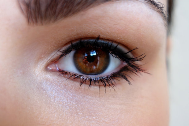 棕色的眼睛图片下载