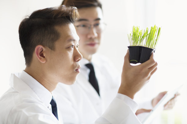 科学家们在实验室里观察实验植物图片下载