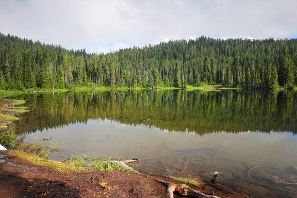 雷尼尔山国家公园图片下载
