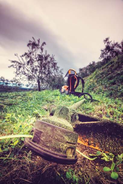 字符串微调图片下载
