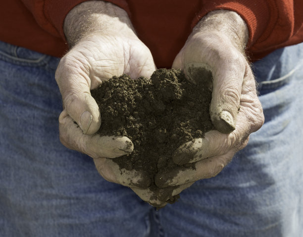 用手挖土图片下载