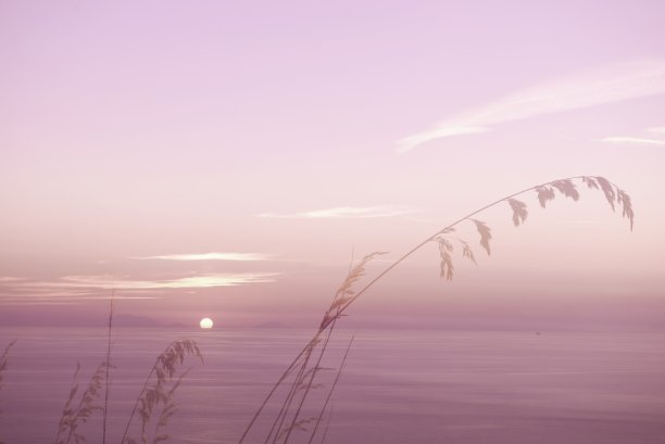 宁静的日落图片下载