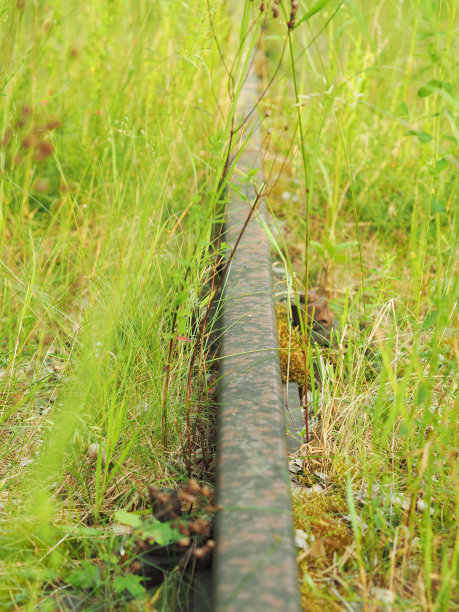 的使用图片下载