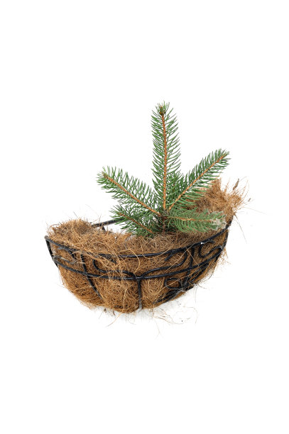 冬季装修概念/想法图片下载