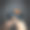 新一代平板电脑上的虚拟动物之爱图片下载