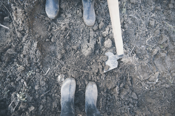 泥泞的园艺靴子图片下载