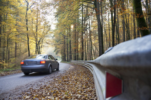 秋天的道路图片下载