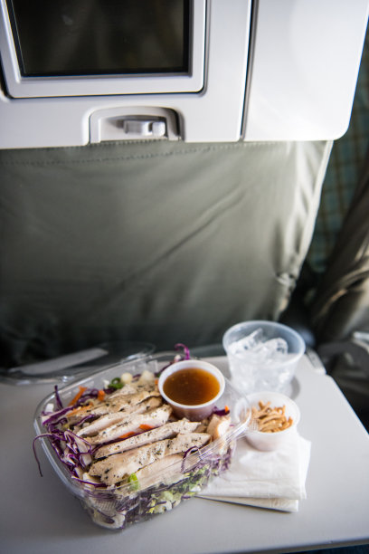 飞机上的午餐图片下载
