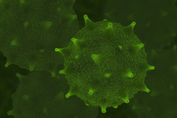 病毒群图片下载