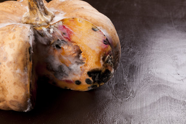 模具的南瓜图片下载