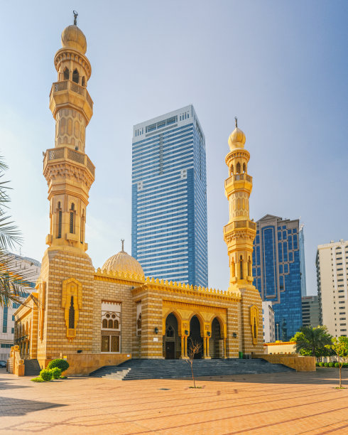 阿布扎比市中心的清真寺（阿联酋）图片下载