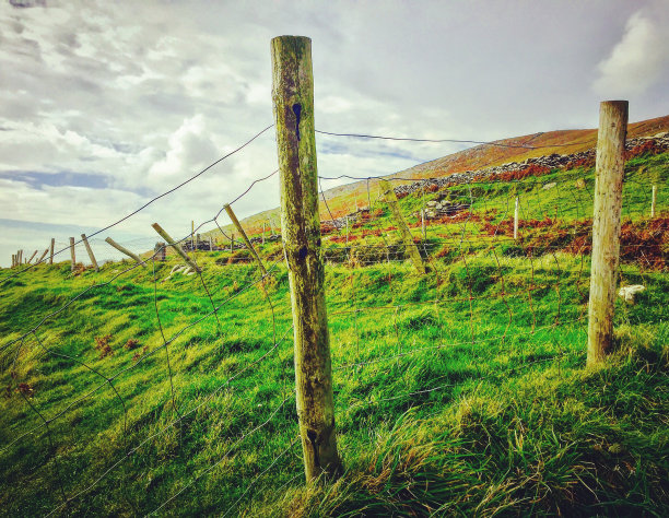 爱尔兰海岸的栅栏图片下载