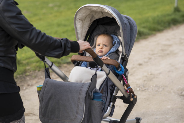 小男孩在散步图片下载