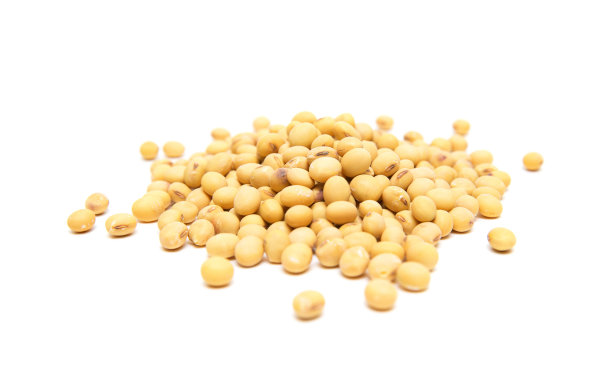 在白色背景下分离的干大豆图片下载