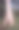 特写大的残木棉雨林树与香蕉和玉米在加纳中部非洲的农田图片下载