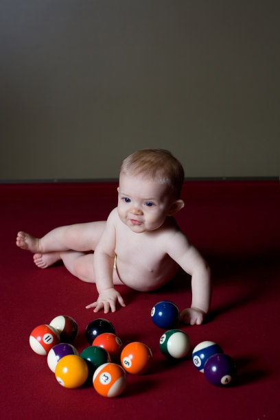 池鲨鱼图片下载