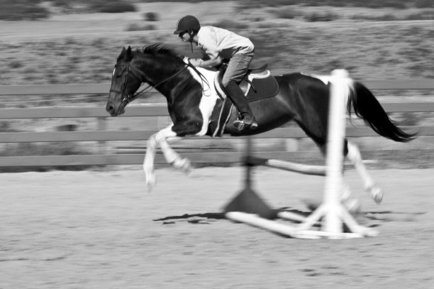 马跳投图片下载