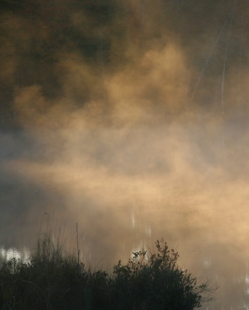 清晨的薄雾图片下载