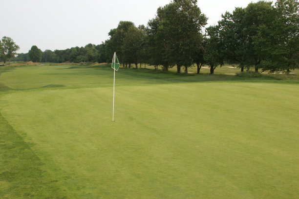 在草地上图片下载