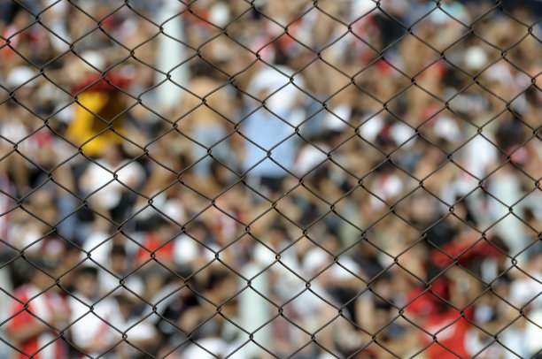 体育场的观众图片下载