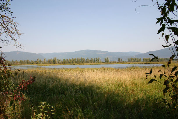 野生动物保护区以植被为框架图片下载
