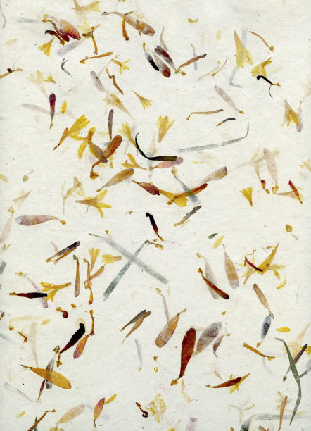 带花的手工纸图片下载