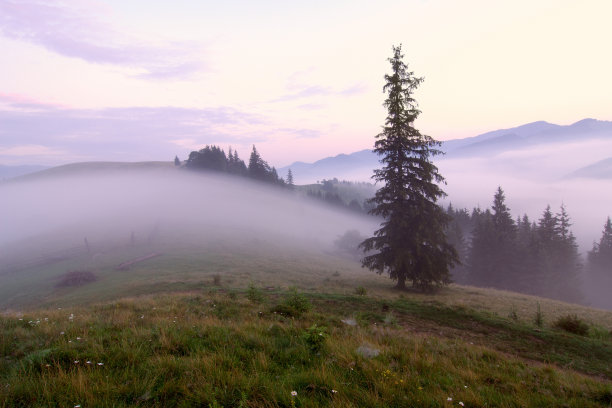 喀尔巴阡山脉雾蒙蒙的日出图片下载