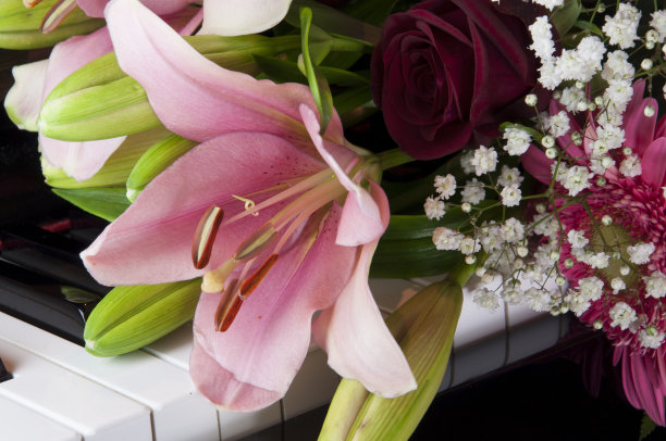 钢琴键盘上的花图片下载